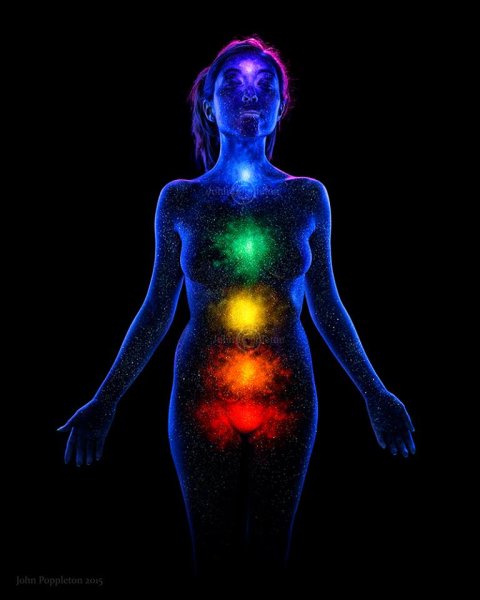 Человеческое тело