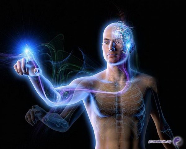 Организм человека