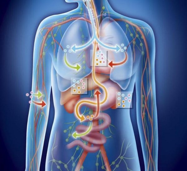 Голограмма человеческого тела