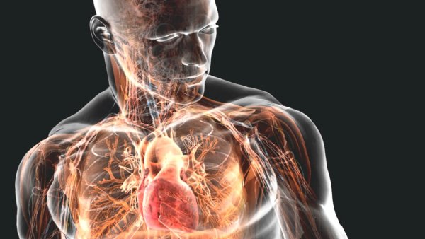 Светящееся тело человека