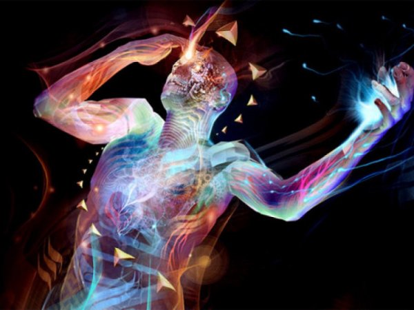 ХЬЮМАН диджитал боди анатомия