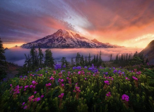 Марк Адамус фотограф