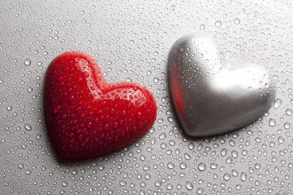 Сердце любовь