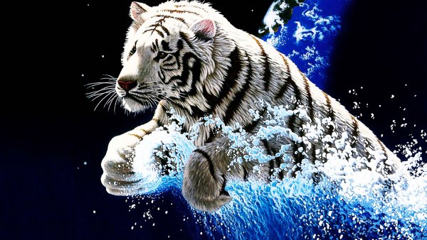 Tigr 3 д