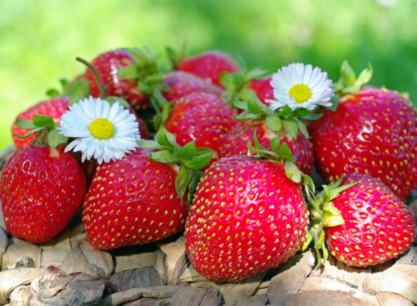 Летние ягоды