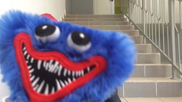 Хагги Вагги