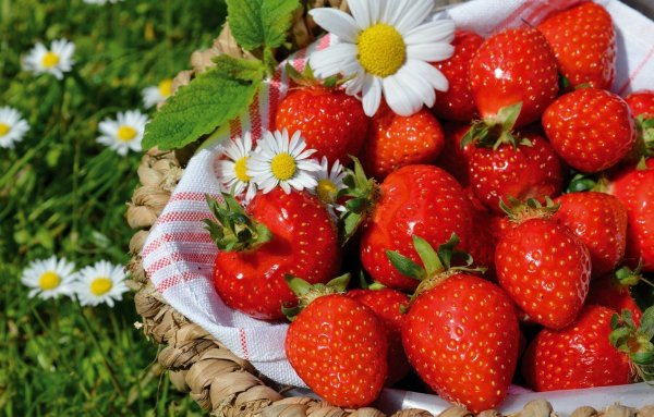 Клубника ромашки и фрукты