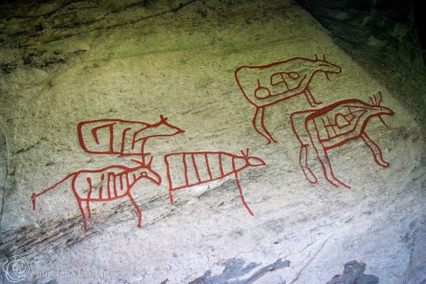 ЮАР наскальные рисунки