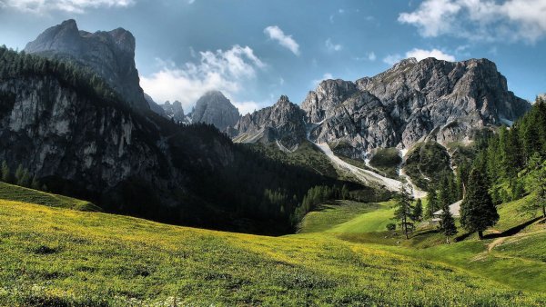 Сглаженный ландшафт Долина горы лес