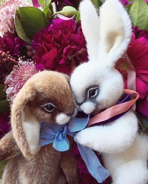 Красивый зайчик