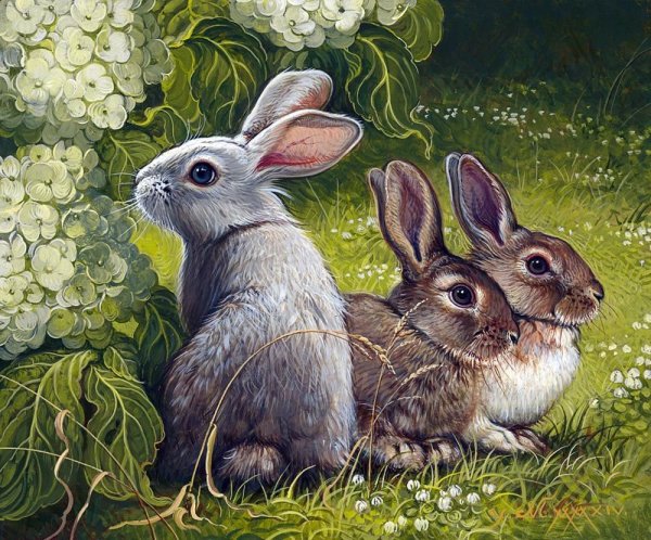 Заяц живопись