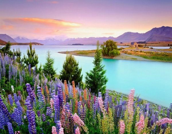 Озеро Текапо (Lake Tekapo)