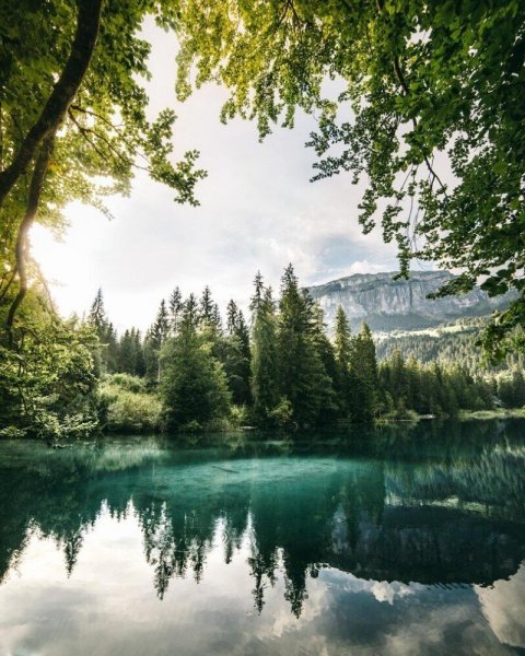 Лесное озеро (Forest Lake)