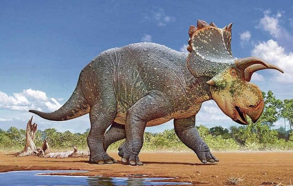 Трацераптерс динозавров