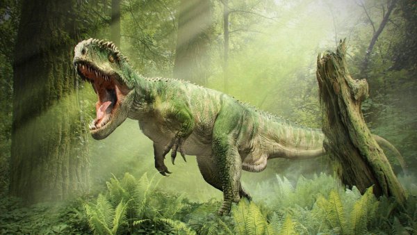 Картинки динозавр (45 фото)