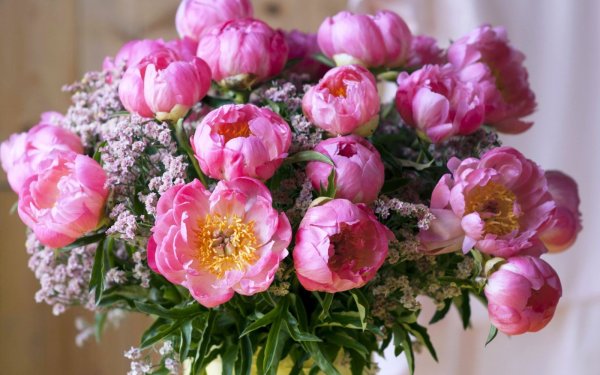 Пион Юбилейшн