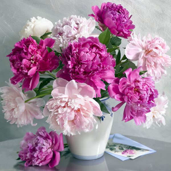 Marianna-Lokshina пионы