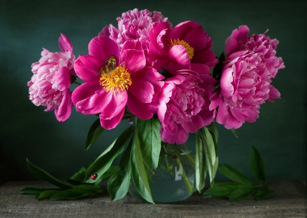 Букет с пионами