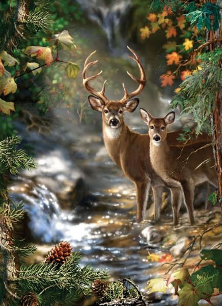 Оленей Cervus Campestris