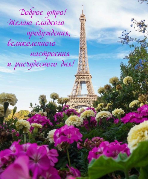 Эйфелева башня трава