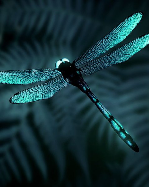 Драгонфлай Стрекоза