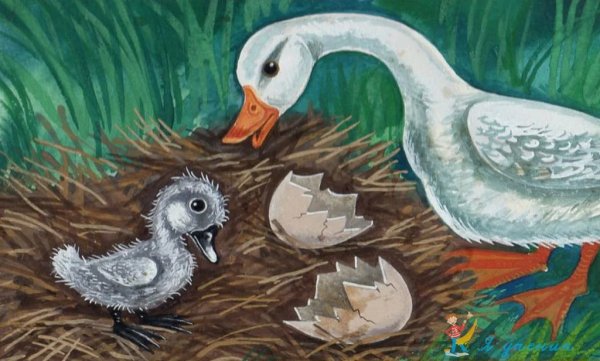 Гадкий утенок Ганса Христиана Андерсена