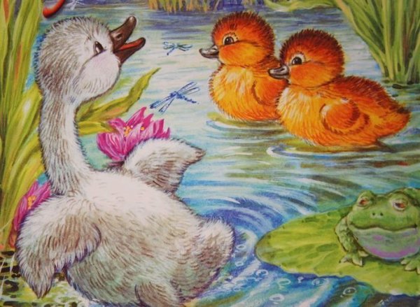 Гадкий утенок