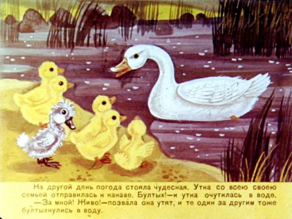 Гадкий утенок