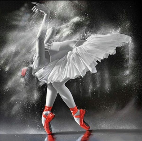 Голландский художник chung Shek