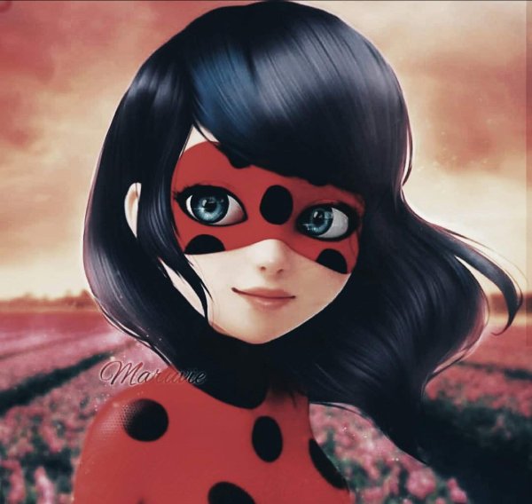 Антибаг Маринетт