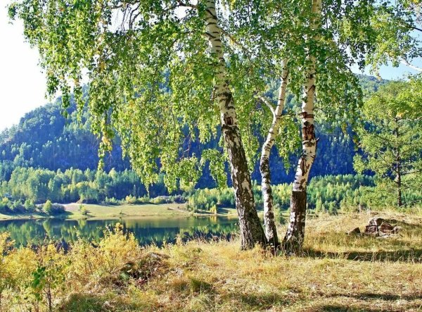 Река Березка Тверская область