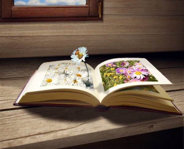 Красивые книжки
