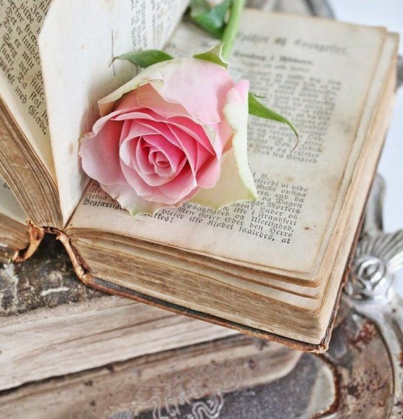 Книга цветы