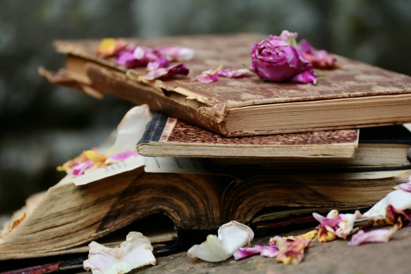 Стопка книг