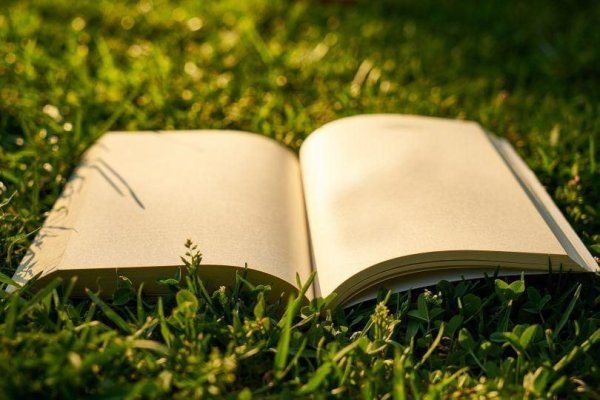 Книга для…