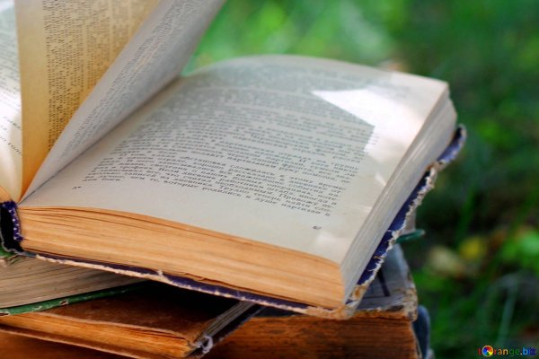 Заголовок книги