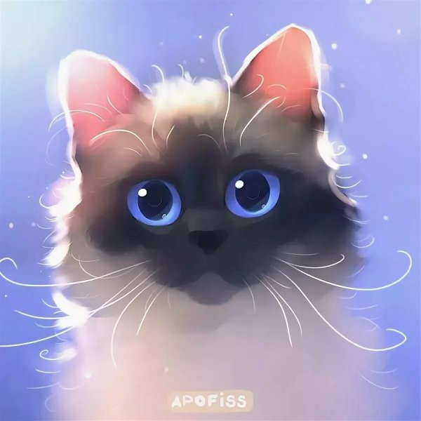 Розовый котик