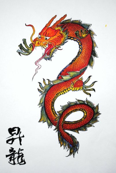 Zolotoy Drakon/золотой дракон