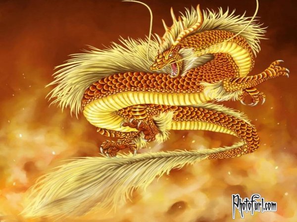 Картинки дракон китайский (47 фото)