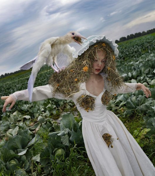 Странные но красивые картинки