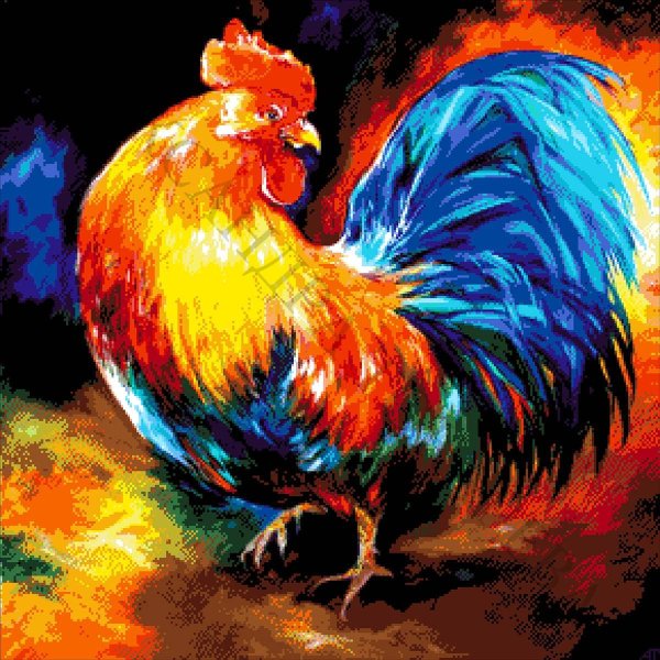 Красивый петушок
