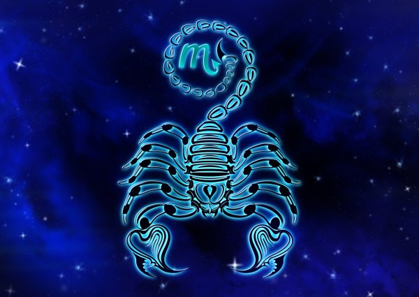 Обои на рабочий стол Скорпион