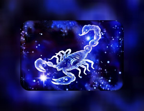 Scorpio знак зодиака