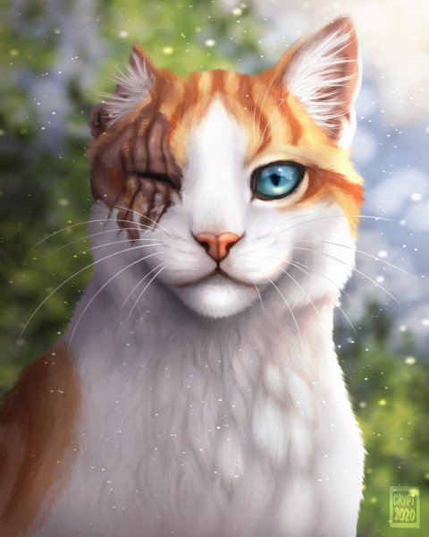 Коты Воители Яролика