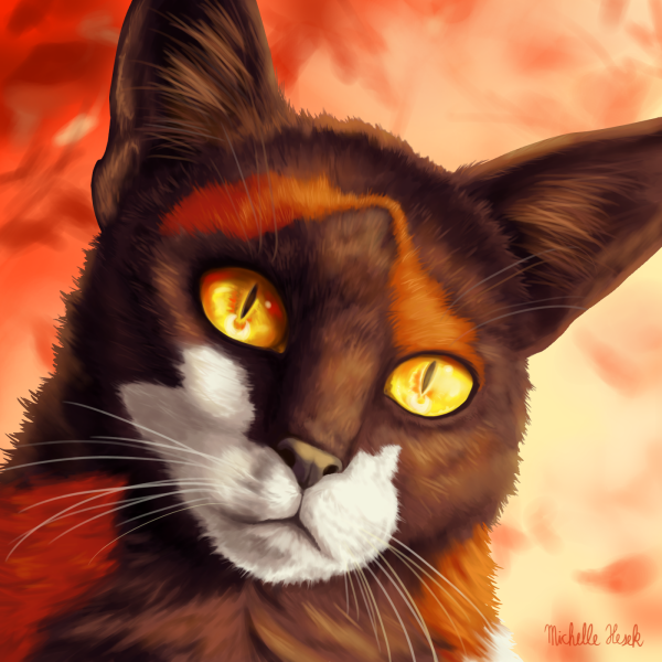 Кот воитель