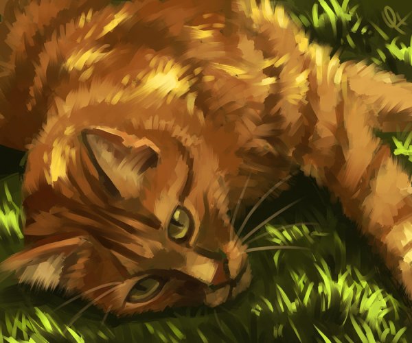 Коты Воители берестенник