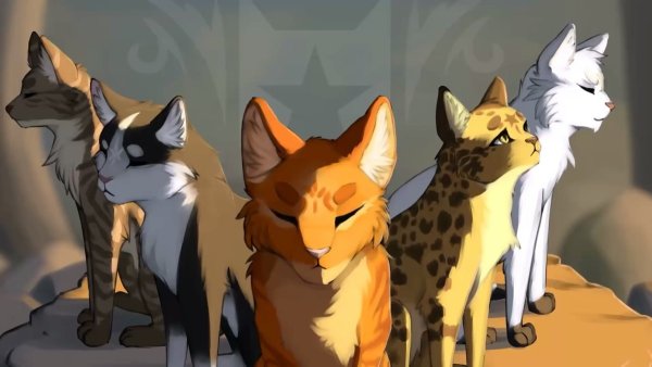 Коты Воители пятнистая звезда и Огнезвёзд
