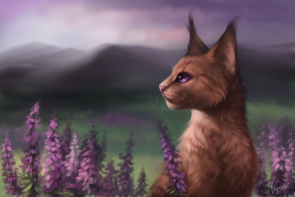Коты Воители Верескоглазка