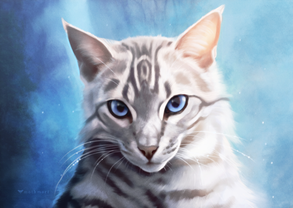Коты Воители Серебрянка