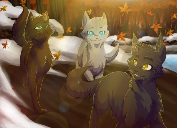 Коты Воители Warriors